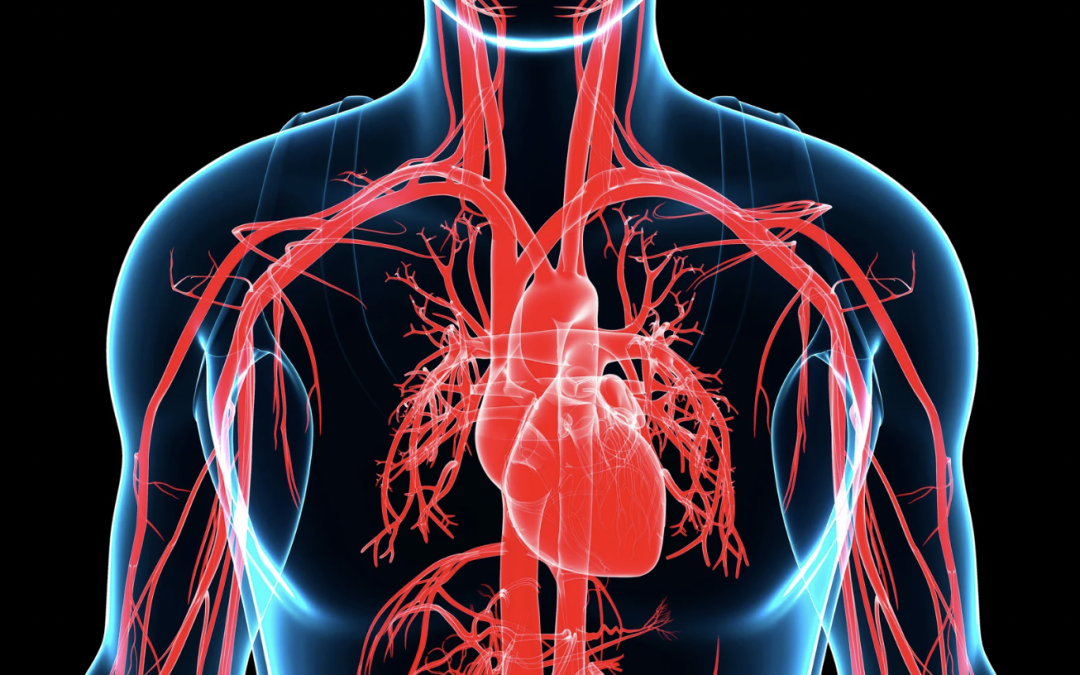 'impact des maladies systémiques