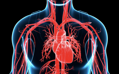 L&rsquo;impact des maladies systémiques sur la santé bucco-dentaire : pourquoi un suivi régulier est crucial