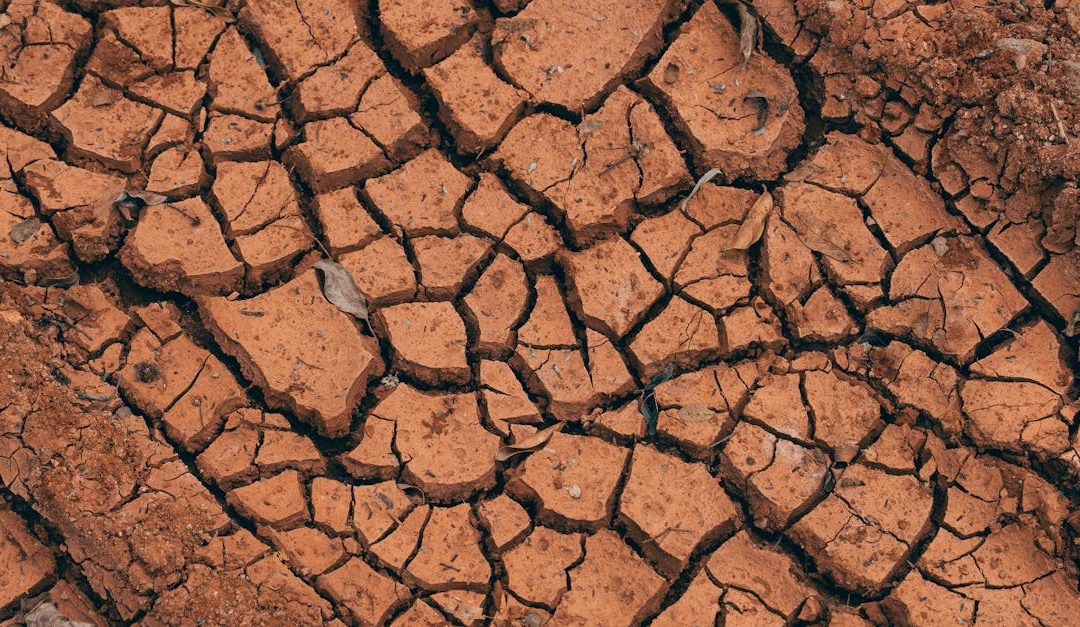 Femme buvant un verre d'eau pour soulager une bouche sèche
